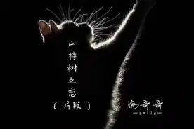 我相信世界上有真爱  但那只属于纯真的年代视频封面