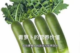 青萝卜的营养价值视频封面