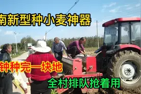 实拍河南开始种小麦了，看看一亩地用多少斤种子，千万别搞错了！视频封面