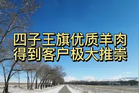 内蒙古四子王旗戈壁羊受推崇，城市客户微信购买两只50斤大肥羊视频封面