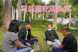 员工冲动辞职，如今后悔不已，再次萌生吃回头草的念头视频封面