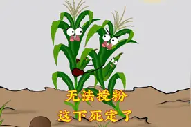 这多亏了你啊，我得好好谢谢你啊