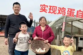 农家鸡蛋大丰收？全家围鸡窝抢着捡，俩孩子别提多开心了！视频封面