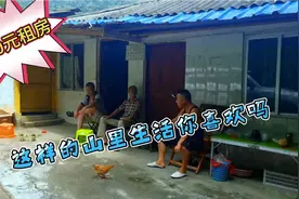 民山偶遇广东大哥，三百元租房过田园生活，养鸡养鹅只为了喜欢玩视频封面