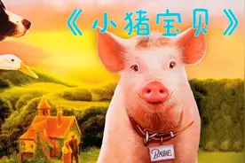 这只小猪太励志，为了不变成烤乳猪，竟然赢得了牧羊犬比赛的冠军视频封面