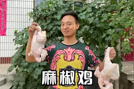 阿连给爸爸做麻椒鸡，儿子吃不上干着急，麻辣够味吃得过瘾视频封面