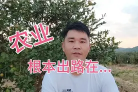 创业9年的80后谈农业的根本出路在哪里，这个观点你赞同吗？视频封面