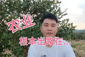 创业9年的80后谈农业的根本出路在哪里，这个观点你赞同吗？视频封面