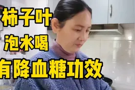 昨天的收益好少，还是要多去互动，用柿子叶泡水喝有降血糖的作用视频封面