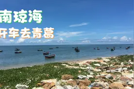 沿着海南旅游公路琼海段，开车去长坡镇青葛港，一路上美景不断视频封面