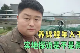 河南南阳一村子村民养锦鲤年入千万，实地探访到底是不是真的视频封面