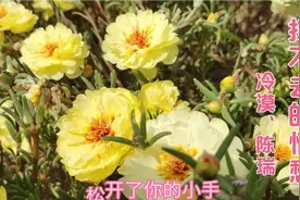 冷漠一首《挥不去的情愁》我曾经迷失在你的温柔怀抱，特别好听视频封面