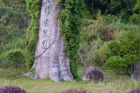 国家地质公园，动植物的基因库，北回归荒漠带的绿色翡翠视频封面