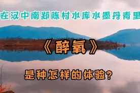 汉中南郑陈村水库风景优美，治愈系音乐配《醉氧》，令人痴醉。视频封面