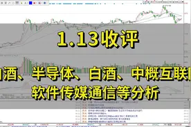白酒、半导体、中概互联网、医药医疗、软件传媒通信等板块分析