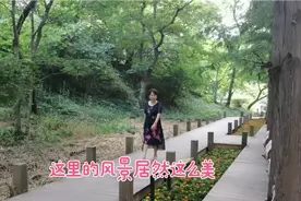 家门口的风景往往被忽视，五六年没去了，没想到这里现在这么美！视频封面