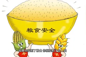 2008年的粮食危机，值得了解视频封面