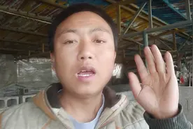 猪场过硫酸氢钾消毒，三个正确的做法和四个错误的做法