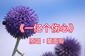 蒙面哥《一亿个伤心》我总想找个理由，回到相遇的前头视频封面