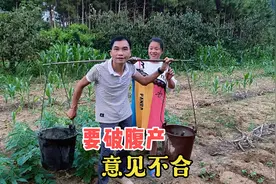 媳妇想顺产老公坚持要她剖腹产，两人意见不合，到底该听谁的？视频封面