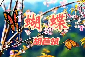 胡彦斌演唱经典老歌《蝴蝶》有情人不能眷属，人世间那么多无助！视频封面