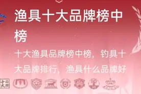 中国十大渔具品牌排行榜，汉鼎居然没上榜！龙王恨仅排第8名！视频封面