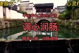博康音疗：此音乐具有调节心神、通便润肠，心静了、一切都好！视频封面
