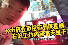 xch奇亚币挖矿到底是干啥，它的实际工作内容都是啥，不看不知道视频封面