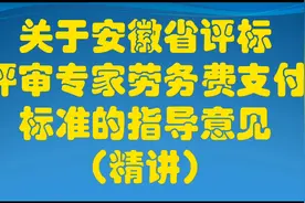 安徽省评标评审专家劳务费支付标准（精讲）视频封面