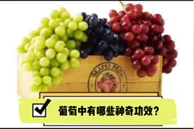 葡萄中有哪些神奇功效？视频封面