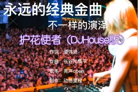 经典曲-护花使者(DJ House粤语版)超好听女声演泽