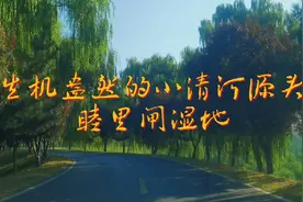 生机盎然的济南小清河源头—睦里闸湿地视频封面