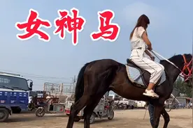 大公马也喜欢美女，第一次骑马就配合听话，这匹半血太棒了视频封面