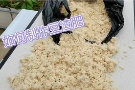 沤制豆渣有机肥全过程，瓜果蔬菜大丰收视频封面