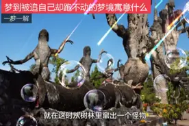 梦到被追自己却跑不动寓意什么呢？视频封面