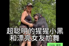 《猿人崛起》男主猩猩和漂亮女友，爱吃芒果爱尬舞，羡慕了！视频封面