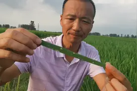 有机硅虽然好，这种情况千万别用视频封面