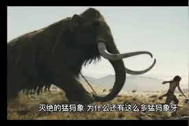 猛犸象牙为什么还那么多存在着视频封面