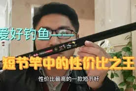 短节竿中的性价比之王，百元的价格却有着超出三倍的手感，畅销！视频封面