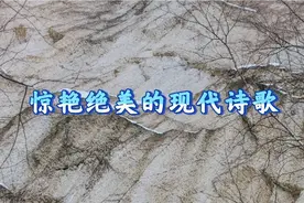 【摘录｜诗歌分享】惊艳绝美的现代诗歌｜我是自由的风 我永远在视频封面