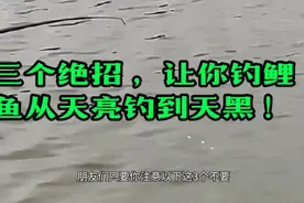 三个绝招 ，让你钓鲤鱼从天亮钓到天黑 ！视频封面