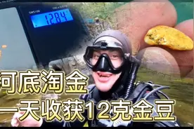 河里就能淘金，一天收获12克黄金，不过这活没点眼力还真干不了视频封面