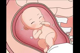 生宝宝时的心情视频封面
