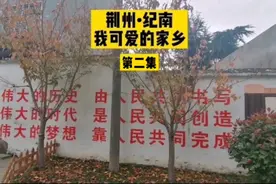 荆州•纪南  我可爱的家乡视频封面