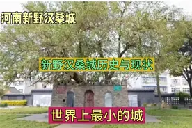 河南新野汉桑城的历史及现状，县城居然有两棵，你知道吗视频封面