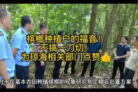 琼海市在基本农田种植槟榔，现象研究制定稳妥处置方案视频封面