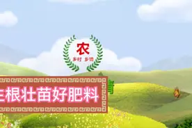 蔬菜长不好，教你自制生根壮苗剂，很多种菜专业户在用它视频封面