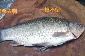 鲫鱼去刺很简单，154根鱼刺全部去除，吃鱼更安全