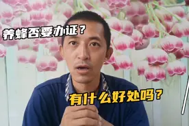 养蜂场办证件有什么好处？让师傅给你详谈解答，你都认真听了吗？视频封面