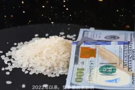 大宗商品价格上涨的影响视频封面